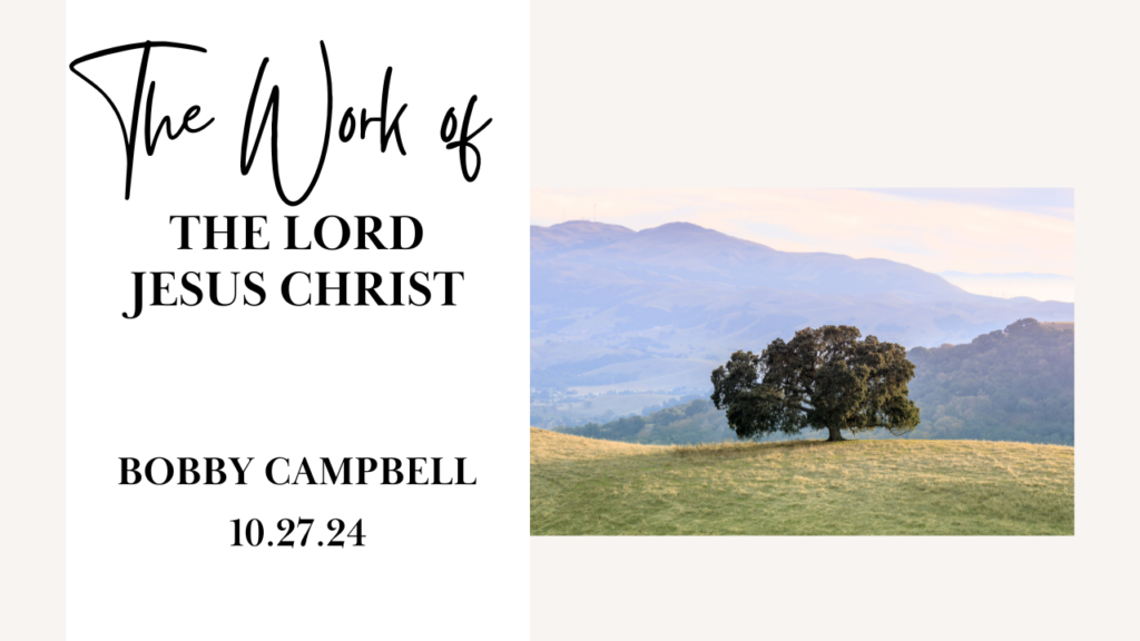 “The Work of The Lord Jesus Christ”  1Timothy 1:15